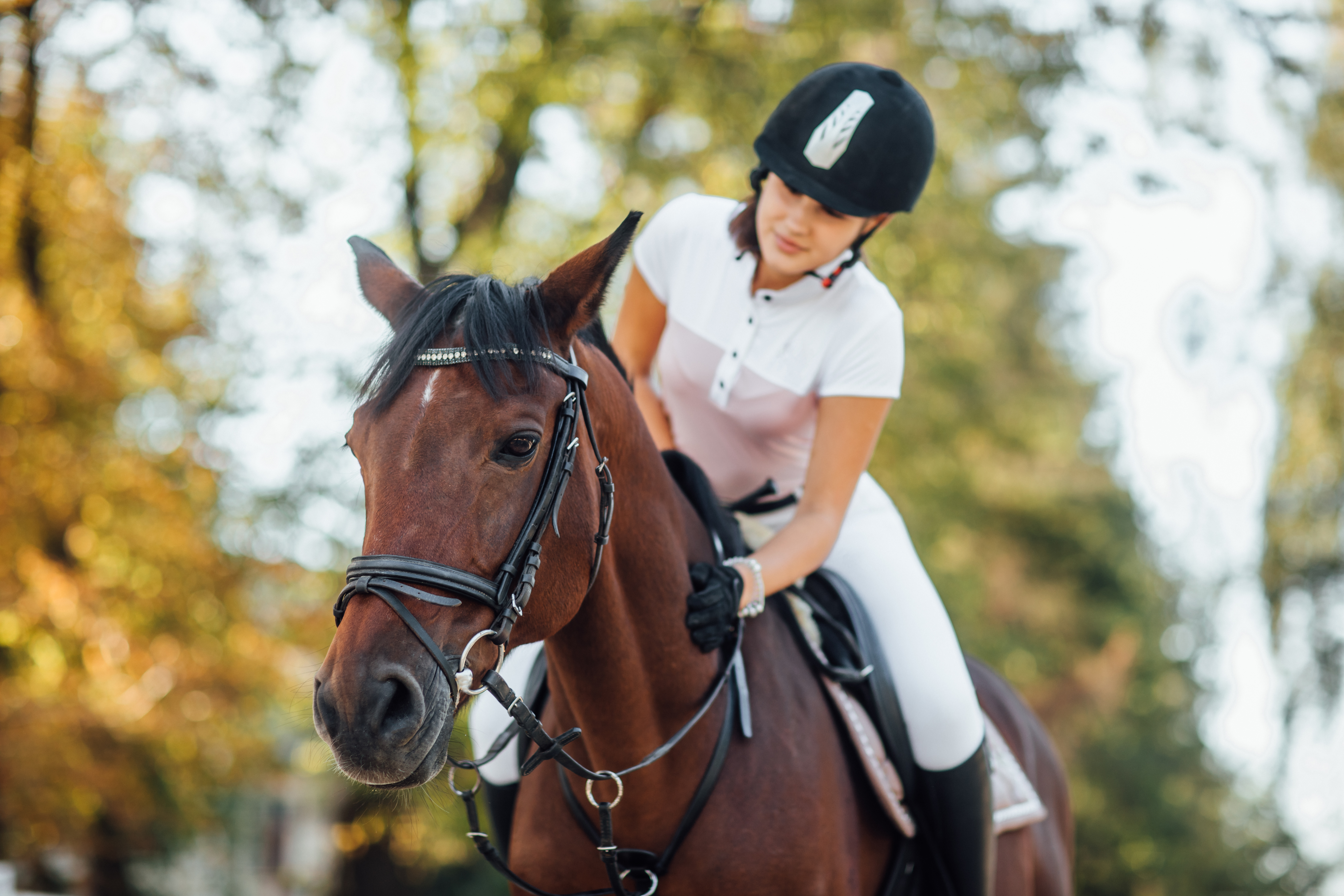 Stress du cavalier et cheval : comprendre la boucle qui fait monter la tension